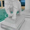 河池 白麻花岗岩动物异形石雕-大象