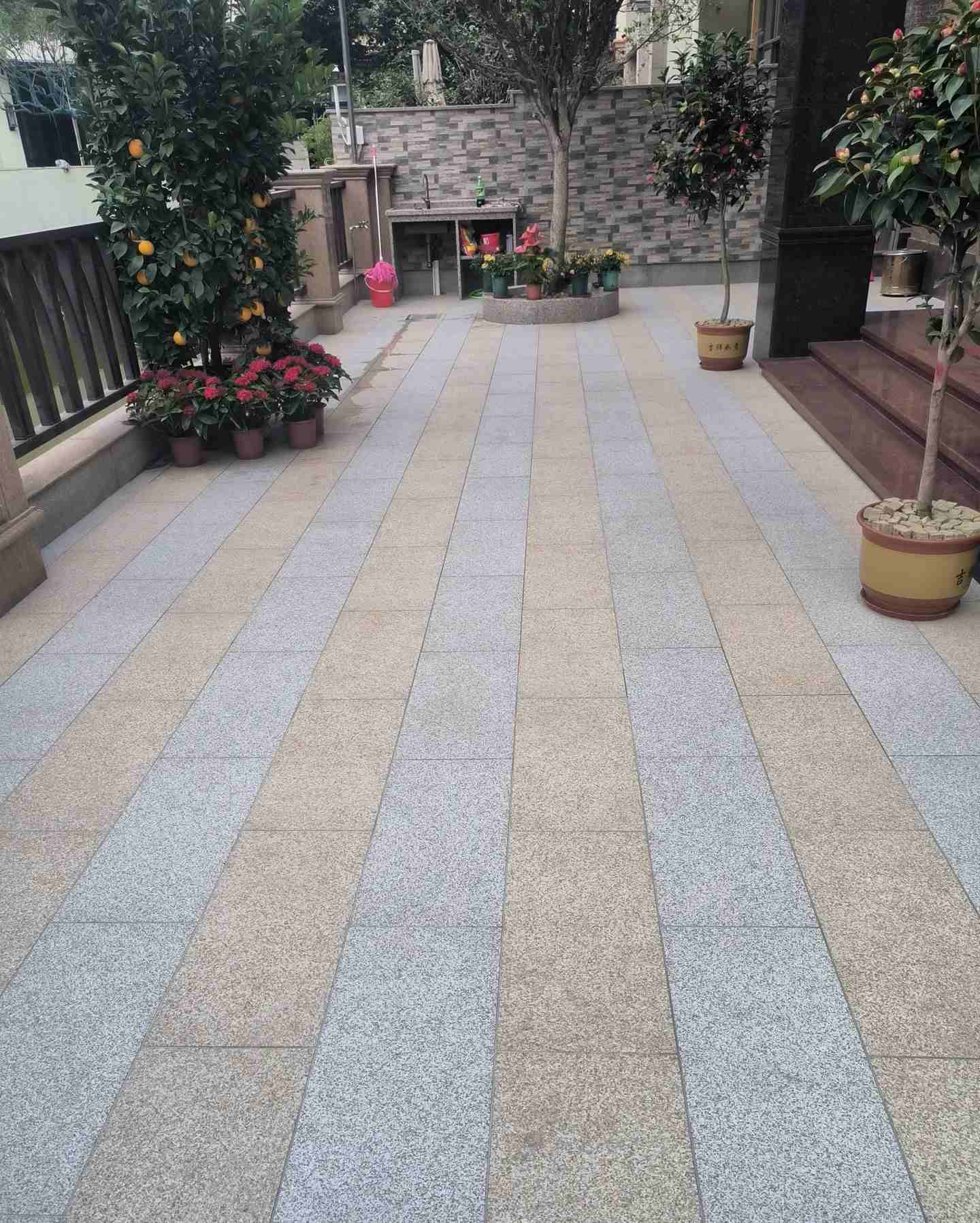 河池 黄金麻白麻荔枝面庭院铺装展示